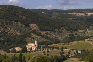 I Quaderni di WineNews - Il Brunello di Montalcino