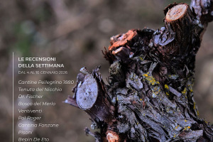 I Vini di WineNews - N. 396