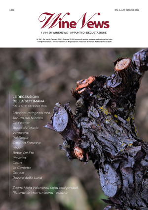 I Vini di WineNews - N. 396
