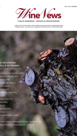 I Vini di WineNews