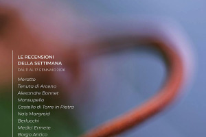 I Vini di WineNews - N. 397