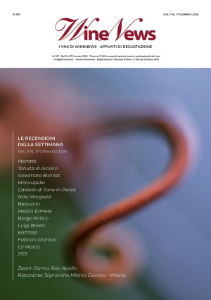 I Vini di WineNews - N. 397