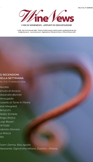 I Vini di WineNews