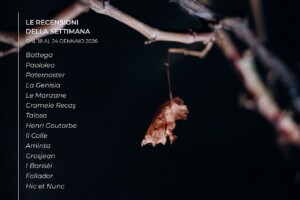 I Vini di WineNews - N. 398