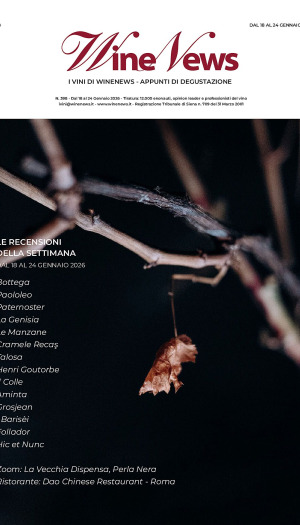 I Vini di WineNews