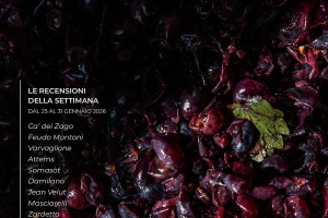 I Vini di WineNews - N. 399