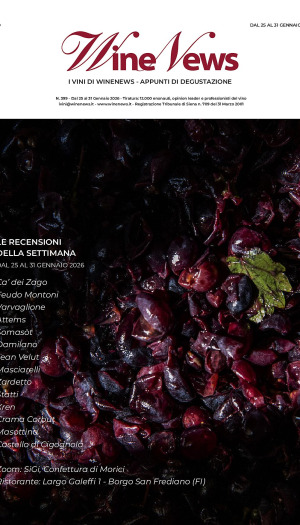 I Vini di WineNews