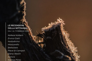 I Vini di WineNews - N. 400