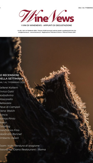I Vini di WineNews