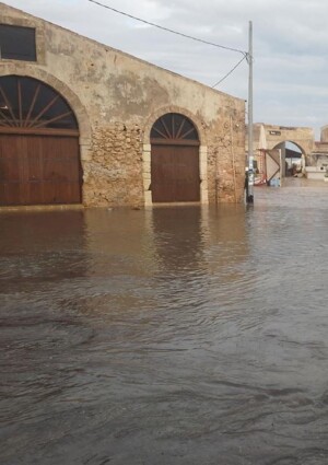 Ciclone Harry, i danni al patrimonio naturale, agricolo e turistico in Calabria, Sicilia e Sardegna