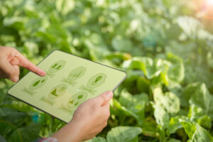 L&rsquo;Italia ha investo 2,3 miliardi di euro per digitalizzare 1 milione di ettari in agricoltura