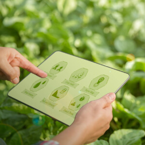 L&rsquo;Italia ha investo 2,3 miliardi di euro per digitalizzare 1 milione di ettari in agricoltura