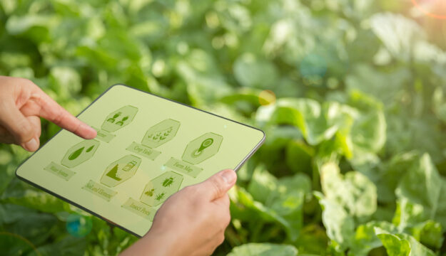 L&rsquo;Italia ha investito 2,3 miliardi di euro per digitalizzare 1 milione di ettari in agricoltura