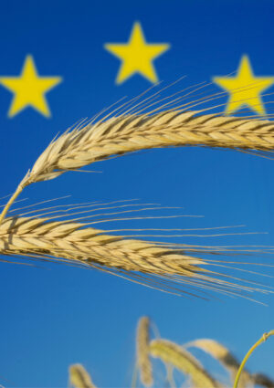 Protezione agricoltori dalle pratiche commerciali sleali, il Parlamento Ue approva le nuove norme