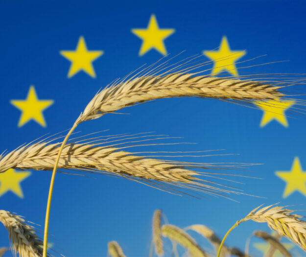 Protezione agricoltori dalle pratiche commerciali sleali, il Parlamento Ue approva le nuove norme