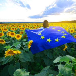 La Corte dei Conti Europea sulla Pac: &ldquo;rischio incertezza, tracciabilit&agrave; finanziamenti va garantita&rdquo;