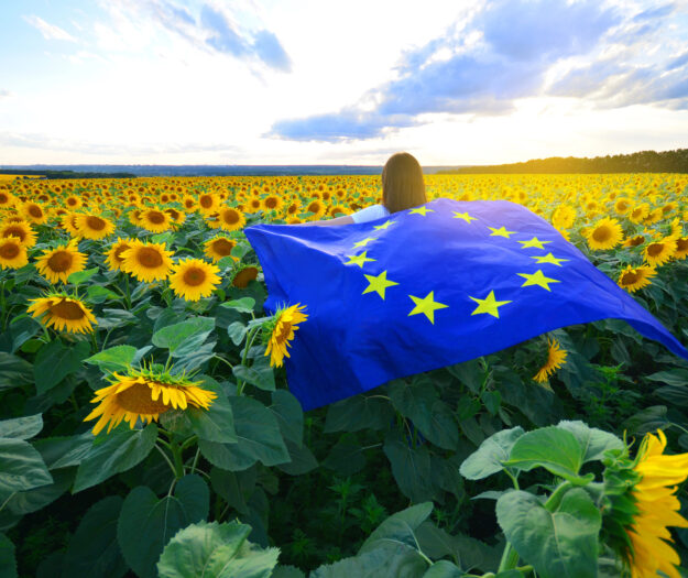 La Corte dei Conti Europea sulla Pac: &ldquo;rischio incertezza, tracciabilit&agrave; finanziamenti va garantita&rdquo;