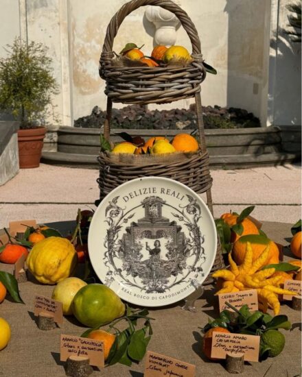 “Agrumi in Festa” nel Real Bosco di Capodimonte a Napoli e nell’agrumeto storico del Giardino Torre borbonico