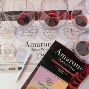 L&rsquo;annata 2021 dell&rsquo;Amarone della Valplicella, impegnativa da gestire, tra resistenza e precisione