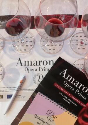 L&rsquo;annata 2021 dell&rsquo;Amarone della Valpolicella, impegnativa da gestire, tra resistenza e precisione