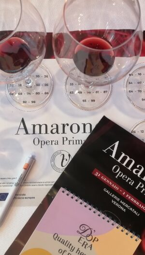 L&rsquo;annata 2021 dell&rsquo;Amarone della Valpolicella, impegnativa da gestire, tra resistenza e precisione