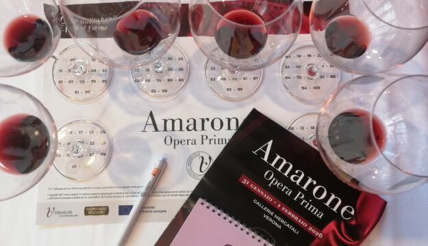 L&rsquo;annata 2021 dell&rsquo;Amarone della Valpolicella, impegnativa da gestire, tra resistenza e precisione