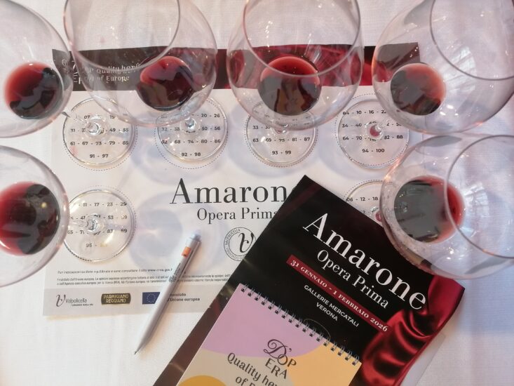 Amarone Opera Prima 2026 - Tavolo di Assaggio