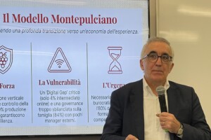&ldquo;La qualit&agrave; del vino &egrave; fondamentale, ma esperienze e attivit&agrave; sono un punto di forza per le aziende&rdquo;