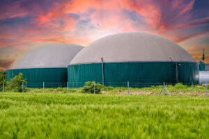 Decreto bollette, le organizzazioni di categoria chiedono pi&ugrave; tutele per il biogas agricolo