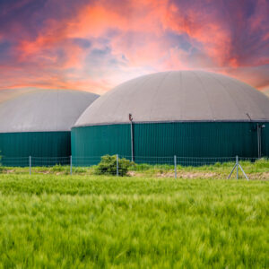 Decreto bollette, le organizzazioni di categoria chiedono pi&ugrave; tutele per il biogas agricolo