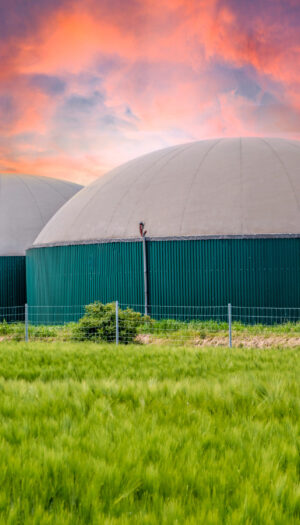 Decreto bollette, le organizzazioni di categoria chiedono pi&ugrave; tutele per il biogas agricolo