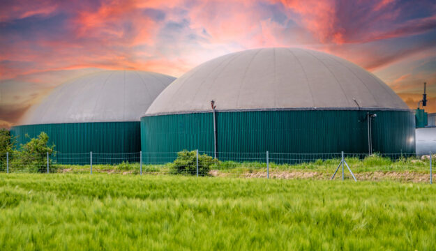 Decreto bollette, le organizzazioni di categoria chiedono pi&ugrave; tutele per il biogas agricolo