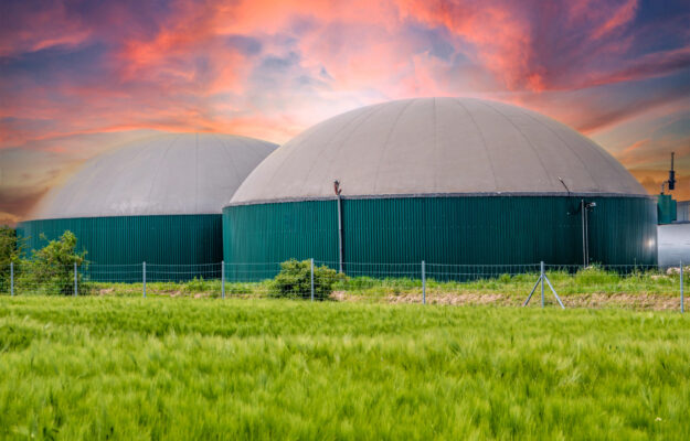 AGRICOLTURA, CIA AGRICOLTORI ITALIANI, Coldiretti, Confagricoltura, DECRETO BOLLETTE, LEGACOOP AGROALIMENTARE, Non Solo Vino