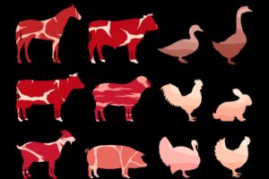 Divieto macellazione cavalli, Lav: &ldquo;riforma cambia le etichette, ma non la vita degli animali&rdquo;