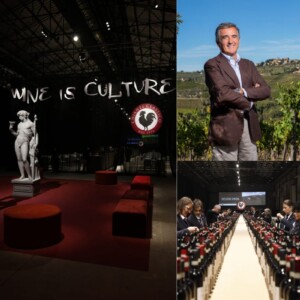 Il Gallo Nero del Chianti Classico canta pi&ugrave; forte della crisi, e grida al mondo &ldquo;Wine is culture&rdquo;