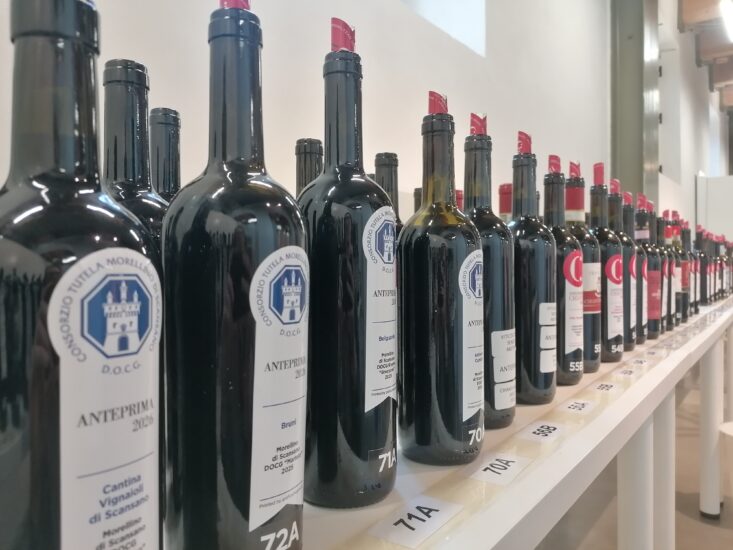 Chianti Lovers & Rosso Morellino 2026: bottiglie in assaggio da vicino