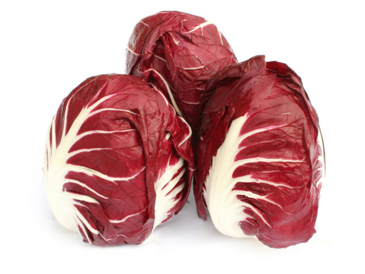 CONSORZIO DI TUTELA, RADICCHIO ROSSO DI VERONA IGP, VERONA, La dispensa, Su i Quaderni di WineNews