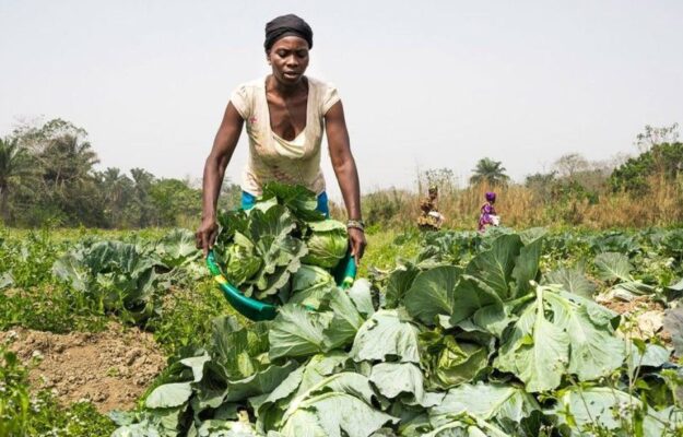 agroalimentare, CRISI ALIMENTARE, FAME NEL MONDO, INNOVAZIONE, ONU, Non Solo Vino