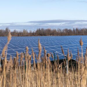 Nuovo &ldquo;Bando Agrisolare&rdquo;: altri 800 milioni di euro per la transizione energetica in agricoltura