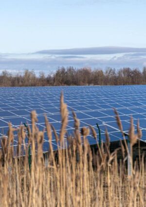Nuovo &ldquo;Bando Agrisolare&rdquo;: altri 800 milioni di euro per la transizione energetica in agricoltura