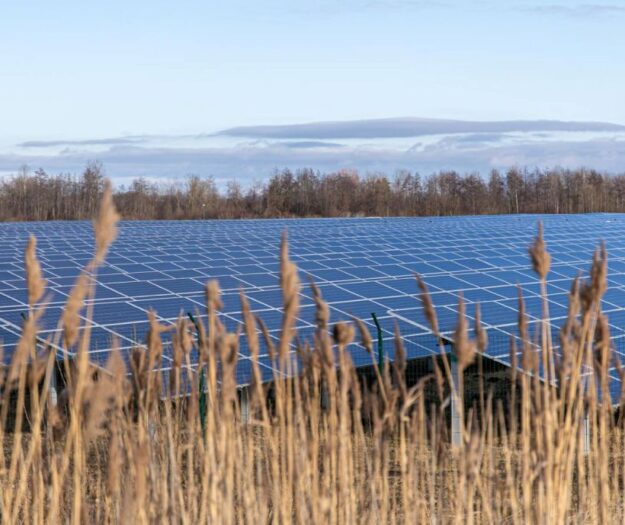 Nuovo &ldquo;Bando Agrisolare&rdquo;: altri 800 milioni di euro per la transizione energetica in agricoltura