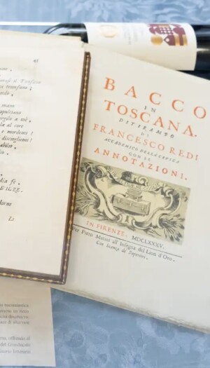 Francesco Redi, il medico pi&ugrave; alto in grado alla Corte dei Medici che ha elevato il vino a cultura