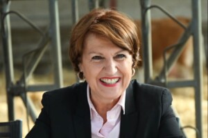 Legge di Bilancio, c&rsquo;&egrave; l&rsquo;ok in Francia: via al piano per le estirpazioni dei vigneti