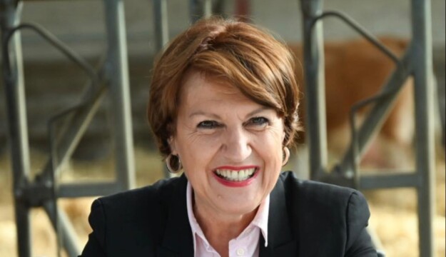 Legge di Bilancio, c&rsquo;&egrave; l&rsquo;ok in Francia: via al piano per le estirpazioni dei vigneti