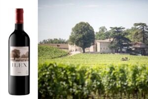 Nasce il primo Bordeaux analcolico da una tenuta Cru Class&eacute; di Saint-&Eacute;milion
