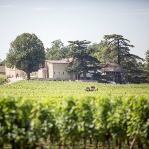 Nasce il primo Bordeaux analcolico da una tenuta Cru Class&eacute; di Saint-&Eacute;milion