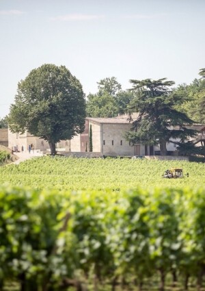 Nasce il primo Bordeaux analcolico da una tenuta Cru Class&eacute; di Saint-&Eacute;milion