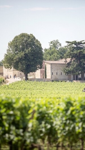 Nasce il primo Bordeaux analcolico da una tenuta Cru Class&eacute; di Saint-&Eacute;milion