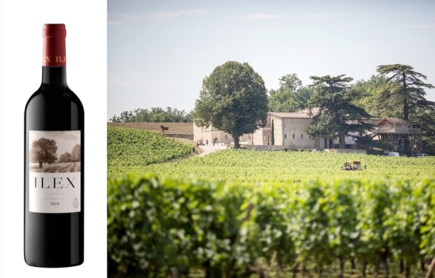 Bordeaux, FRANCIA, GRAND CRU CLASSÉ, SAINT EMILION, VINI NO-LO, VINO ANALCOLICO, VINO FRANCESE, Mondo