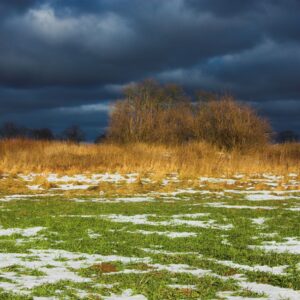 Maltempo, danni per 20 miliardi ai campi: servono nuove strategie per l&rsquo;acqua